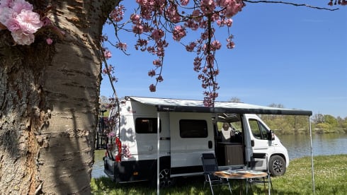 Dreamer – 3p Fiat bus from 2023
