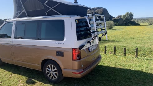 VW California automatic, full option, 2021 with surfboard holder