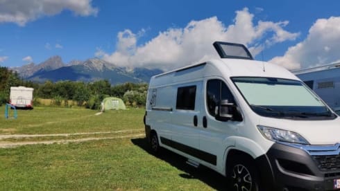 2p Citroën integrated uit 2020