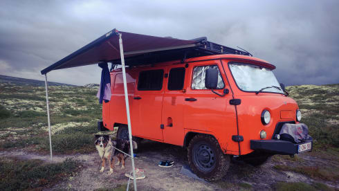 Bukhi – 2p Andere Wohnmobile ab 2022