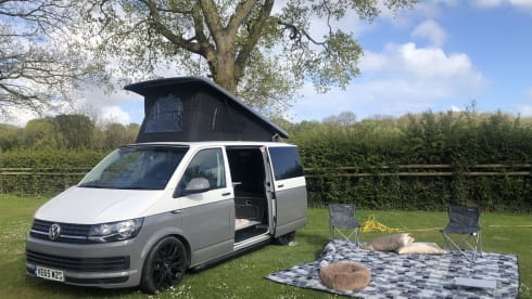 Ivy – Pet friendly VW campervan - MK13 Milton Keynes