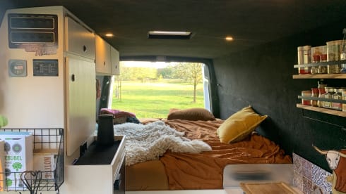 GREENLIFE – Mercedes Sprinter, very spacious attractive camper, 7 meters
