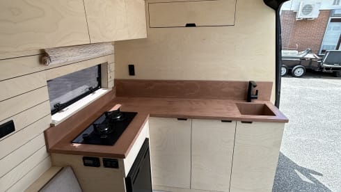 Roxy June – 2p Mercedes-Benz bus from 2011