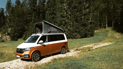 Ludwig – VW T6.1 California Ocean