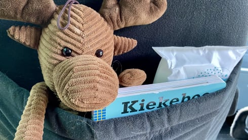 Gezellige Ford Nugget, geschikt voor kleine kinderen