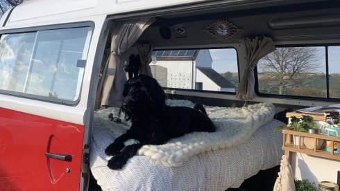 Rory – VW T2 Camper Van