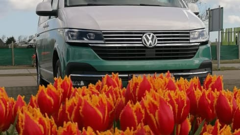Kampie – Volkswagen California Ocean automatique