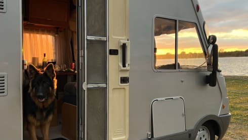 Honden welkom / PET friendly! – Spacious 5P family camper | Fixed & pull-down bed, air conditioning, automatic, pets welcome.