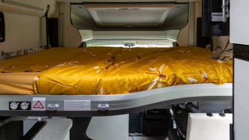 4p Benimar semi-integrated from 2024