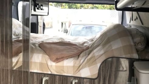 Wellington – Dog Friendly Peugeot Boxer 2 berth