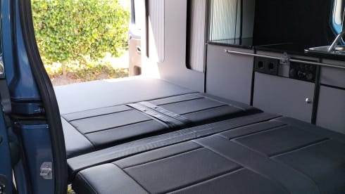Fiat Talento bus camper
