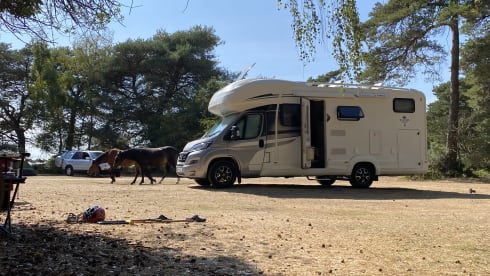 Autotrail Imala 736 G - 4 Berth Family Friendly 