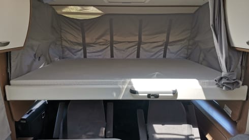 Anne – Carado i447