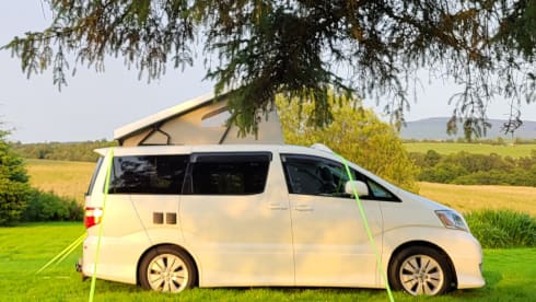 Toyota Alphard Automatic Bi-Fuel (Petrol / LPG)  