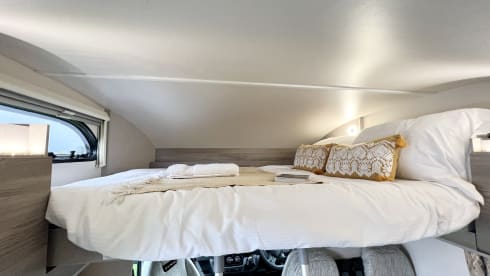 Wilf – 6 belt, 6 berth (2023)