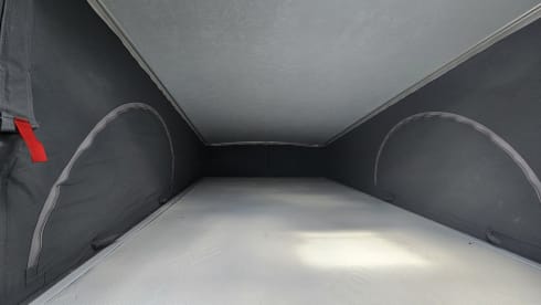 4p Pössl bus uit 2019