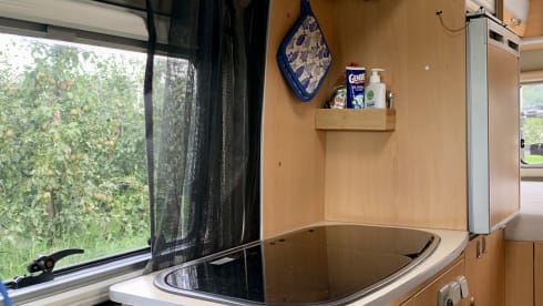 Mario – Perfect Fiat Bavaria Camp camper van for rent -automatic