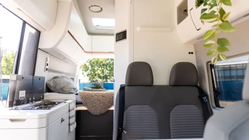 Clyde – 4p Volkswagen bus from 2022