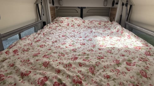 Bertie – Beautiful Burstner 