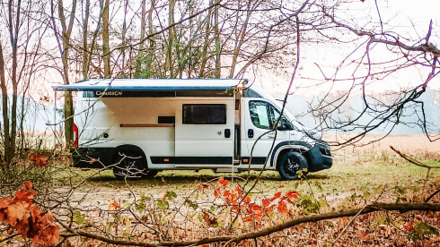 Hectorhetbusje – 2p Chausson Bus camper from 2021