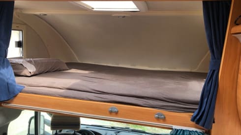 Corallino – YOUR SUPER COMFORTABLE JOURNEY