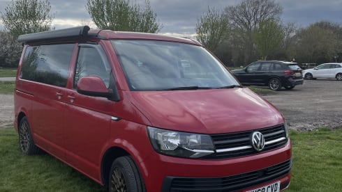 Milo – Plage de Californie VW