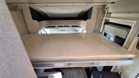 Mc4 - 339 – MCLOUIS MC4 339