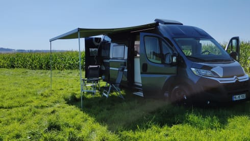 Großer Premium Hannes – Hannes Camper - Large Hannes Camper