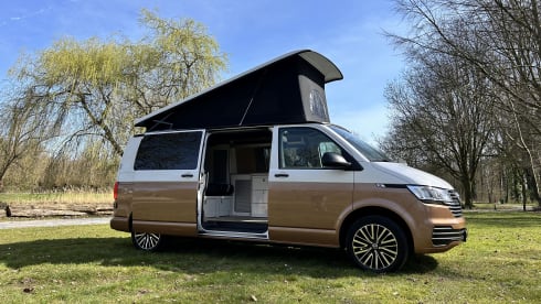 4p Volkswagen campervan uit 2021