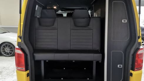 Bee – Meet Bee - VW CamperVan T6