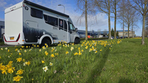 v60  – 3p Sunlight semi-integrated from 2026