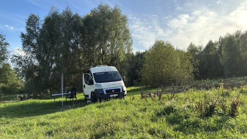 Fritz – Autobus Pössl a due posti del 2012