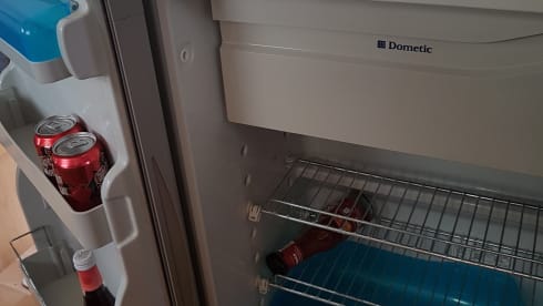 Nasenbär – old lady