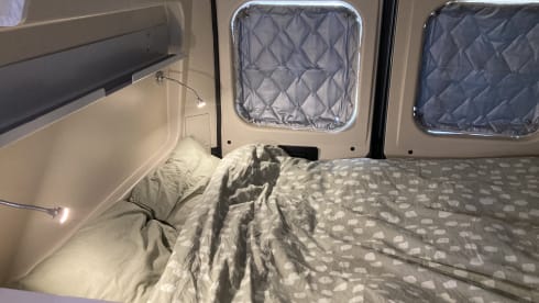 Suzy – 4p Fiat bus from 2020