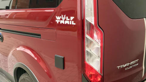 WOLF TRAIL – FORD NUGGET PLUS TRAIL 2022, economical and full option