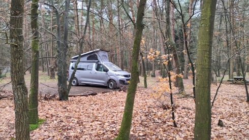 Ecobusje – Two-person electric camper van from Ecobusje