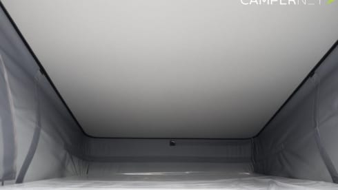 01 Buscamper LMC – 4p LMC bus from 2025