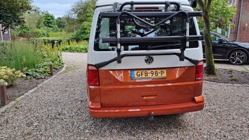 Bertus – 4p Volkswagen campervan from 2018