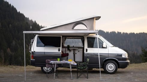 Vaiana – VW CALIFORNIA T4 Westfalia TDI