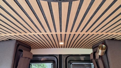 007 – 2-seater Volkswagen bus from 2019