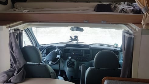 Nasenbär – old lady