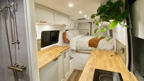 The Juanderer – 2 berth Mercedes-Benz bus from 2015