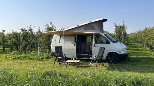 Betty – GoBetty: 2p Volkswagen campervan LWB
