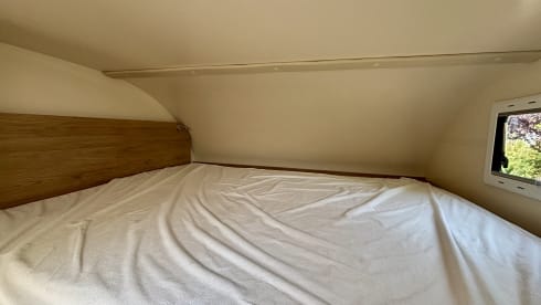 6p Roller Team alcove from 2018