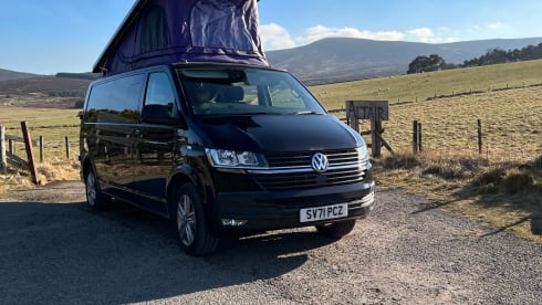 Lily – Lily - T6.1 Adventure Transporter