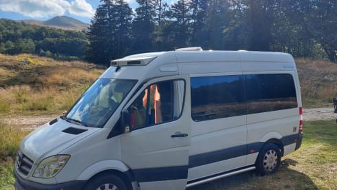 4p Mercedes-Benz bus from 2007