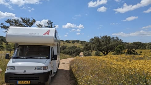 Carel – Alcove Camper 4 person fixed beds