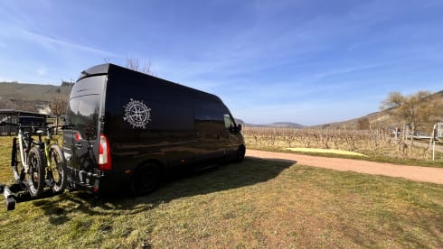 Bert – Ready for almost any adventure