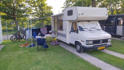 Nostalgic camper incl. insurance and with extra discount