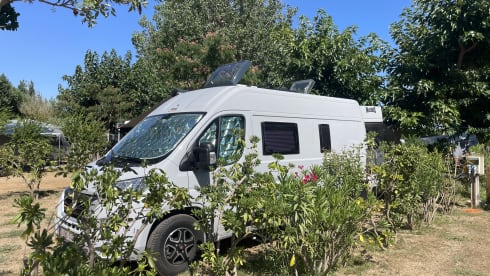 Camping-car 2 personnes (2024) McLouis Menfys Discovery Van 1